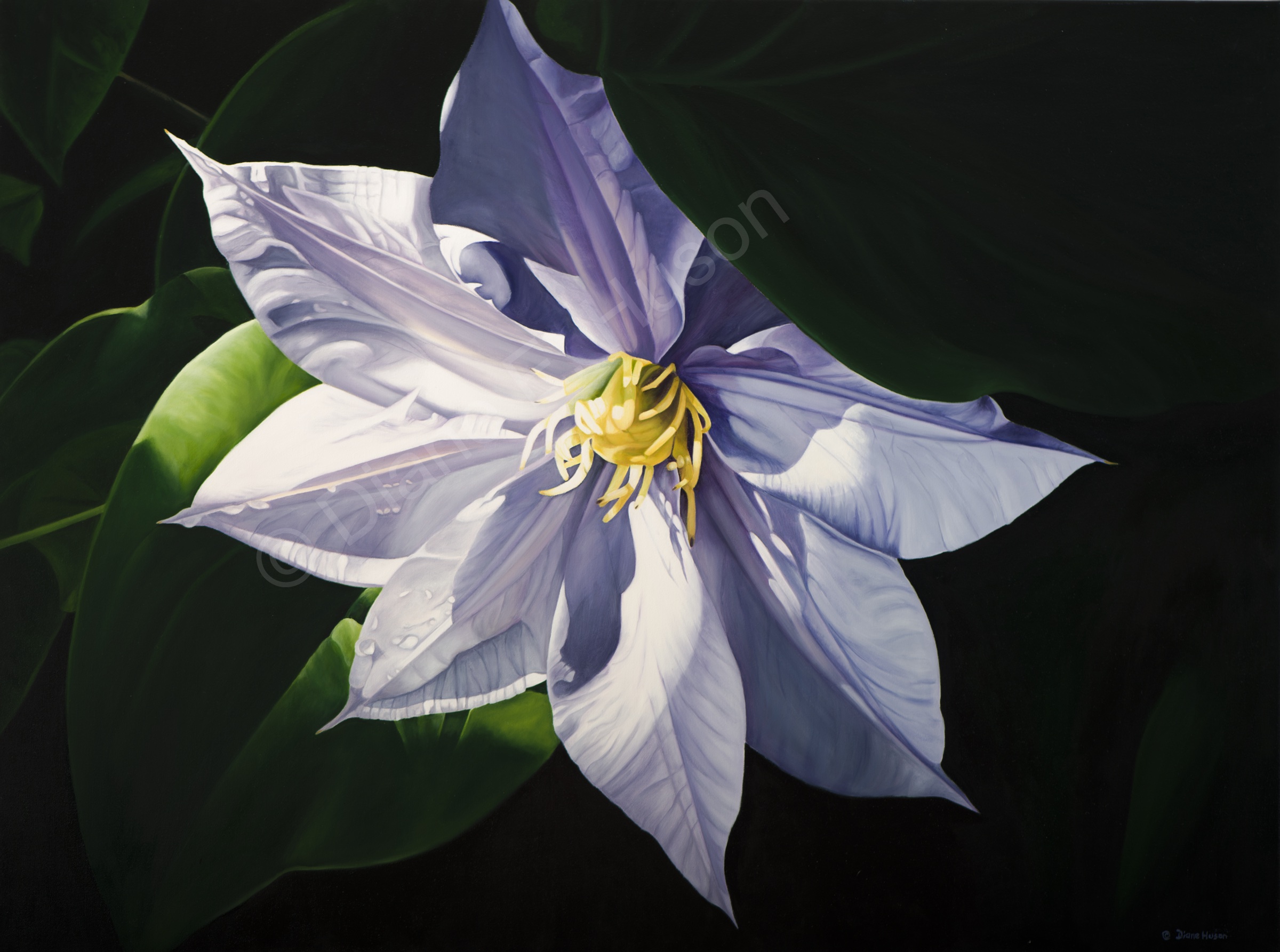 Clematis painting by Diane Huson